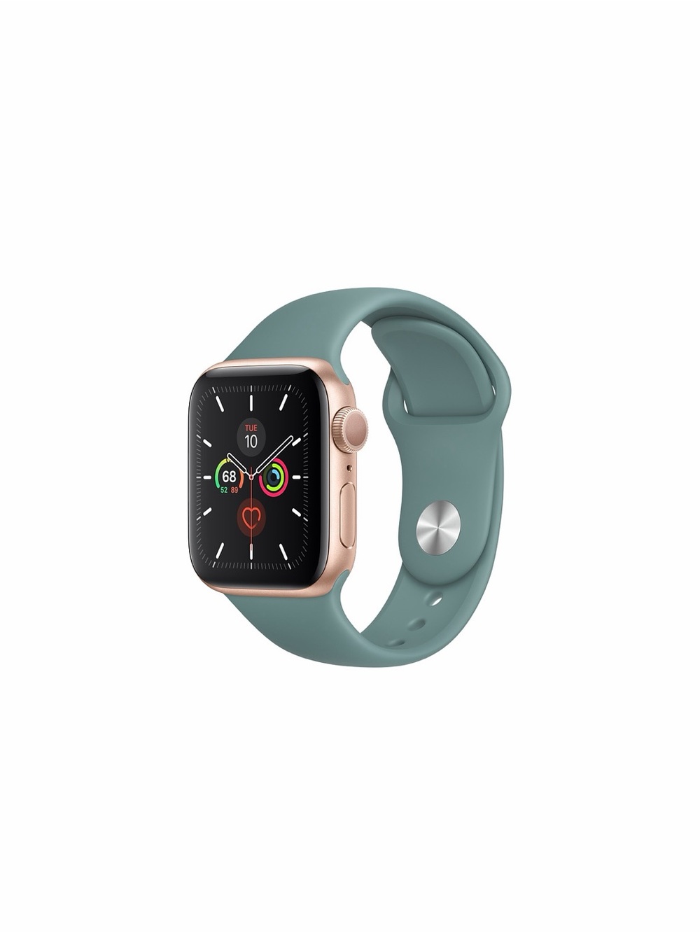 Apple Watch Series 5 GPS, 40mm Gold Aluminum Case with Cactus Sport Band